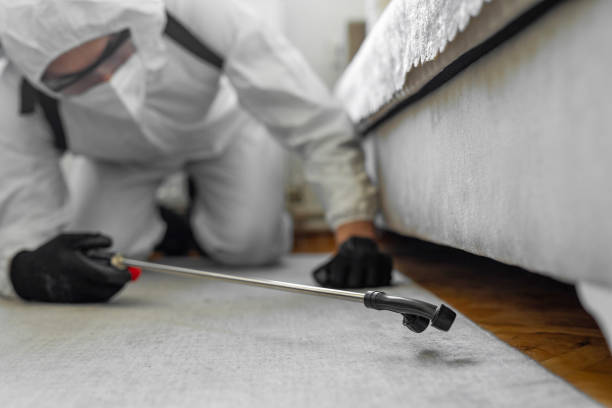 Professional Bed Bug Control technician working in Sheffield, IA